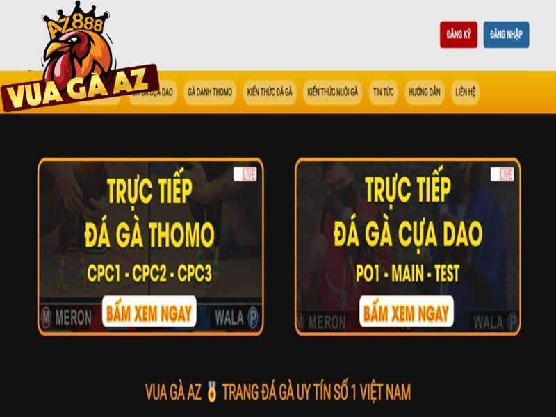 Vua Gà AZ là trang đá gà uy tín số 1 hiện nay tại Việt Nam