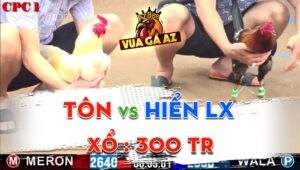 Trận 8 CPC1 Ngày 13/05/2024 - Anh Tôn Và Hiển Long Xuyên Xổ Đá 300