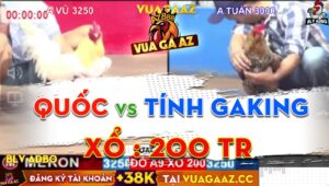 Trận 11 CPC2 30/06/2024 - Gà Tính Gaking Hạ Đối Thủ Nhanh Gọn