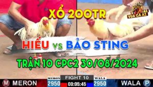Trận 10 CPC2 30/08/2024 - Anh Bảo Sting Tung Mẻ Úa Hiệu Hạ Anh Hiếu