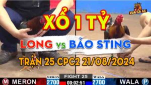 Trận 25 CPC2 21/08/2024 - Bảo Sting Đối Đầu Long Thomo, Đá Xổ 1 Tỷ