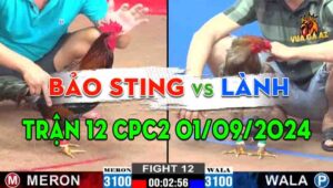 Trận 12 CPC2 01/09/2024 - Anh Bảo Sting Thất Thủ Trước Anh Lành