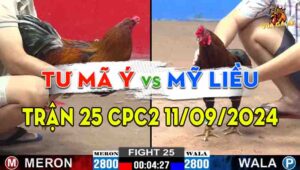 Trận 25 CPC2 11/09/2024 - Gà Anh Tư Mã Ý Đá Quá Tốc Độ