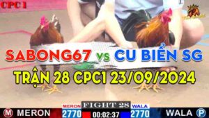 Trận 28 Giải CPC1 23/09/2024 - Sabong67 Và Anh Cu Biển Sài Gòn