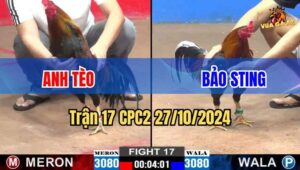 Trận 17 CPC2 27/10/2024 giữa anh Tèo và anh Bảo Sting