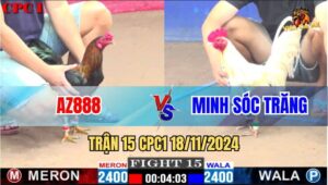 Trận 15 CPC1 18/11/2024 - Gà AZ888 Đụng Phải Gốc Bự Bị Lật Xe