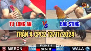Trận 4 CPC2 13/11/2024 giữa anh Tư Long An và anh Bảo Sting