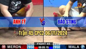 Trận 45 CPC2 06/11/2024 giữa anh Tí và anh Bảo Sting