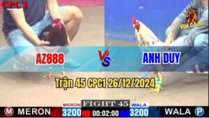 Trận 45 CPC1 26/12/2024 - Gà Của AZ888 Kết Liễu Đối Thủ Trong Âm Thầm