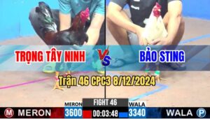 Trận 46 CPC3 8/12/2024 - Bướm Hiệu Anh Bảo Sting Gây Bão Tại C3