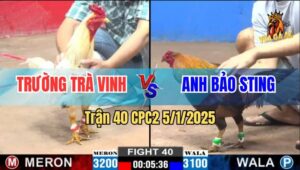 Trận 40 CPC2 5/1/2025 - Lật Kèo Ăn 2, Anh Bảo Sting Cùng Biện Ra Đảo