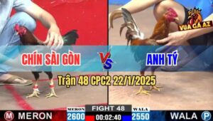 Trận 48 CPC2 22/1/2025 - Bảo Sting Nài Gà Lật Ngược Tình Thế Quá Hay