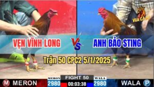 Trận 50 CPC2 5/1/2025 - Điều Cọp Của Anh Bảo Sting Đụng Phải Máy Chém