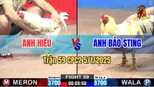 Trận 59 CPC2 5/1/2025 - Anh Phu Phu Nài Gà Có Pha Lật kèo Đẳng Cấp