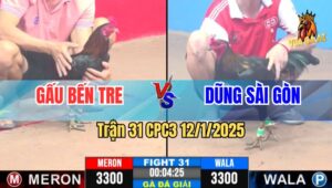 Trận 31 Giải CPC3 12/1/2025 - Gấu Bến Tre Vs Dũng Sài Gòn