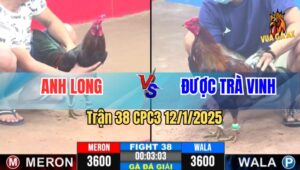 Trận 38 Giải CPC3 12/1/2025 - Dũng Sài Gòn Vs Phúc Bình Dương B