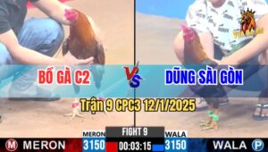 Trận 9 CPC3 12/1/2025 - Bồ Gà C2 Đá Xổ 500 Triệu Với Anh Dũng Sài Gòn