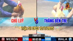 Trận 51 CPC3 12/1/2025 - Chú Lũy Thể Hiện Tài Nghệ Nài Gà, Phản 5 Lai