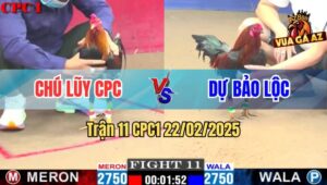 Trận 11 CPC1 22/2/2025 - Gà Anh Dự Bảo Lộc Đâm Như Máy Chém