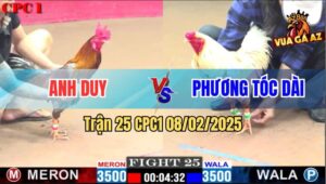 Trận 25 CPC1 8/2/2025 - Anh Phương Tóc Dại Trở Lại Và Lợi Hại Hơn Xưa