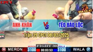 Trận 39 CPC1 8/2/2025 - Gà Anh Tèo Bảo Lộc Đá 1 Chân Có Kết Quả