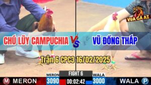 Trận 6 CPC3 16/2/2025 - Gà Khét Chú Lũy Đá Đúng 1 Chân Úa Bay Màu