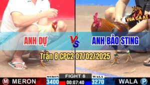 Trận 8 CPC2 7/2/2025 - Anh Bảo Sting Bị Lật Kèo Ăn 1, Biện Hết La Nổi
