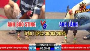 Trận 1 CPC2 30/3/2025 - Anh Bảo Sting Khởi Đầu Ngày Mới Suôn Sẻ