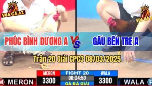 Trận 20 Giải CPC3 8/3/2025 - Phúc Bình Dương A Vs Gấu Bến Tre A
