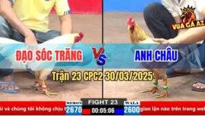 Trận 23 CPC2 30/3/2025 - Anh Bảo Sting Thả Dùm Gà Úa Đâm Như Chỉa
