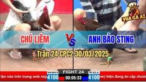 Trận 24 CPC2 30/3/2025 - Anh Bảo Sting Núp Lùm Bị Dí Bạc và Cái Kết