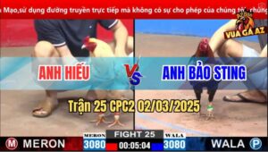 Trận 25 CPC2 2/3/2025 - Anh Bảo Sting Hạ Anh Hiếu Gom Lúa Đầy Bồ