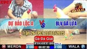 Trận 26 CPC1 22/3/2025 - Gà BLV Gà Lửa Đá Chân 1 Lấy 3 Điểm Nhẹ Nhàng