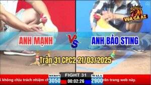Trận 31 CPC1 21/3/2025 - Anh Bảo Sting Phục Thù Anh Mạnh Thành Công