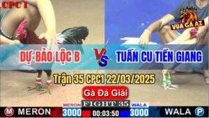 Trận 35 CPC1 22/3/2025 - Chúc Mừng Anh Tuấn Cu Được 9 Điểm Sau 3 Vòng