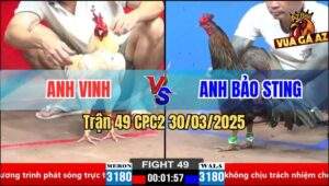 Trận 49 CPC2 30/3/2025 - Que Anh Bảo Sting Quá Trâu Bướm Đá Không Thấm