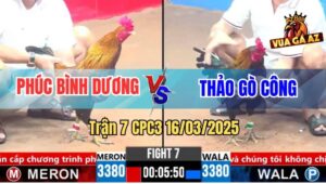 Trận 7 CPC3 16/3/2025 - Điều Chân Xanh Của Chú Phúc Đá Như Máy Điện