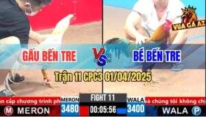 Trận 11 CPC3 1/4/2025 - Anh Gấu Bến Tre Và Anh Bé Bến Tre