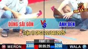 Trận 11 CPC3 22/4/2025 - Gà Bướm Anh Dũng Đâm Điều Xanh Chạy Chết