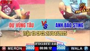 Trận 12 CPC2 27/4/2025 - Bông Bảo Sting Gãy Cánh Đá Điều Anh Dự Lật Xe