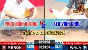 Trận 12 CPC3 1/4/2025 - Chú Phúc Bình Dương Và Anh Sen Vĩnh Châu