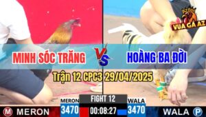 Trận 12 CPC3 29/4/2025 - Điều Xanh Anh Minh Đâm Bướm Anh Gấu Nhớ Nhà