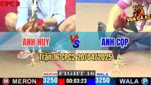 Trận 16 CPC2 20/4/2025 - Anh Huy Vs Anh Cọp