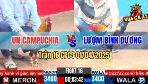 Trận 16 CPC3 1/4/2025 - Anh Un Campuchia Và Anh Lượm Bình Dương