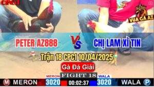 Trận 18 CPC1 10/4/2025 - Peter AZ888 Và Chị Lam Xì Tin