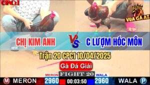 Trận 20 CPC1 10/4/2025 - Chị Kim Anh Và Chị Lượm Hóc Môn