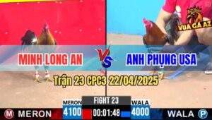 Trận 23 CPC3 22/4/2025 - Gà Má Minh Tiễn Gà Anh Phụng Xuất Ngoại