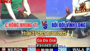 Trận 27 CPC1 10/4/2025 - Chị Hồng Nhung 71 Và Bối Bối Vĩnh Long