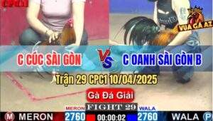 Trận 29 CPC1 10/4/2025 - Chị Cúc Sài Gòn Và Chị Oanh Sài Gòn B