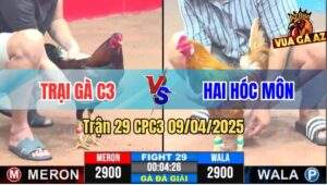 Trận 29 CPC3 9/4/2025 - Chung Kết Quá Đẳng Cấp, Con Chết Con Bỏ Mạng